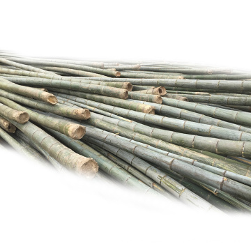 Raw Bamboo Material Of Agarbatti Cheap Prices Bulk Raw Bamboo Material Raw Bamboo
